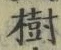 글자 樹