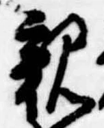 位置定マレル親