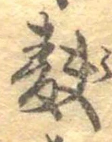 Đã định vị 麩