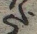 位置 確認된 だ