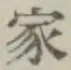 Chữ 家
