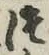 글자 つ