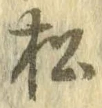 已定位松