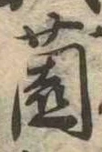 Đã định vị 園