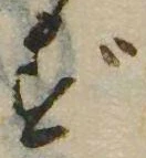 已定位ず