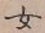 字女