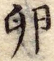 卵 위치 확인됨