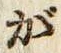 글자 が