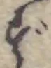 ず 위치 확인됨