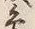 Chữ 及