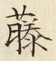 글자 藤