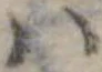 𛂞 위치 확인됨