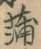 文字蒲