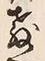 文字教