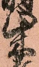 位置定マレル柴