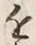Chữ 近