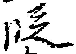 位置 確認된 段