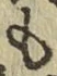 字も