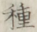 글자 種