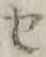 字セ
