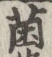 菌の位置