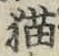 文字 猫