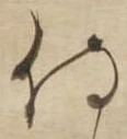 侍 위치 확인됨