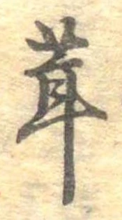 茸 위치 확인됨