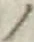 字ノ