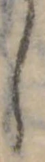 𛁅 위치 확인됨