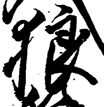 狼 위치 확인됨