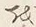 글자 か