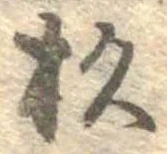 位置定マレル杉