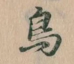 鳥 위치 확인됨