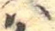𛂞 위치 확인됨