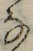 位置 確認된 𛂂