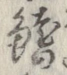 鰭 위치 확인됨