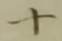 글자 十