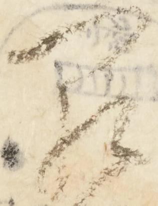 Đã định vị 闕