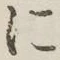 글자 に