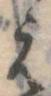 미지정 위치 확인됨