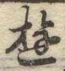 Đã định vị 遊