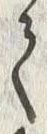 “て”字