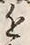 Chữ 近