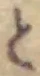 글자 と