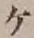 字ケ