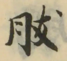 胈 위치 확인됨