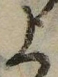 位置 確認된 上