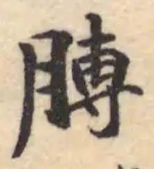 膊 위치 확인됨