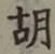 Character 胡